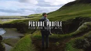 The BEST Picture Profile for Sony a7III: Cine4 vs HLG (Cinematic Video Comparison & Color Grading)