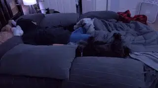 Sleep stream | underwear | 1