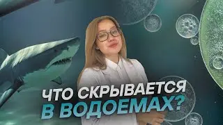 Микробы, которые живут в водоемах | Почему опасно купаться в незнакомых местах?