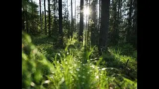 Текущее время  25  июня  2023