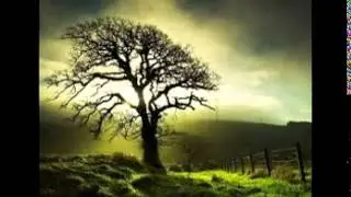 Best Landscape Photography
