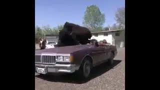 Бычок поехали уже