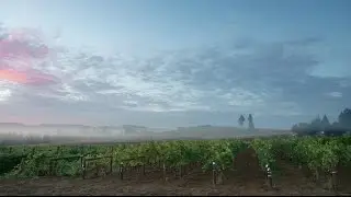 Willamette Valley