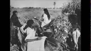 Nubia - النوبة