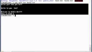 Learning Basic UNIX Commands - 04_File Viewing and Searching.mp4