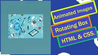 CSS Responsive Card Hover Effects | 