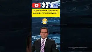 Когда начальник спрашивает,выполнил ли ты его задание 😅🤣