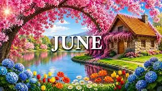 June 2026 – Summer in Full Bloom 8K 🌸 Endless Flower Fields, Butterflies & Colorful Landscapes