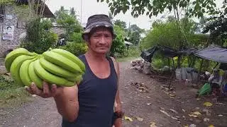 Episode#5 saging na reject sa davao del norte