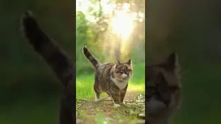 Позвал Бог