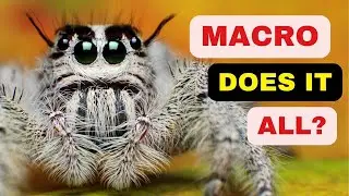 Why Every Photographer Needs a Macro Lens