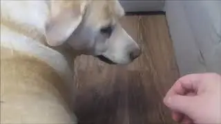 Нашли клад!