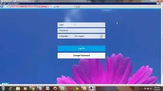 Sap S4 Hana Production Planning Video