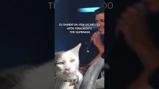 Aquela hora que você finalmente vive a parte dessa música! 😌🫶🏼
