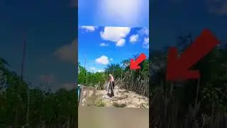 #sport trabalho capinando fundo campeonato