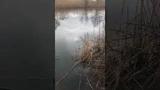 Эффект твердой воды. #рыбалка #рыбалканаспиннинг #fishing #fish