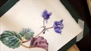Watercolor African Violet. Speed x64./ Как нарисовать фиалку акварелью(ускоренное видео)
