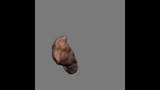 shadow dio part 2