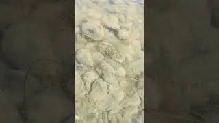 какой малыш