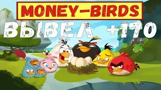 ИГРА MONEY-BIRDS.ORG ОБЗОР И ВЫВОД ДЕНЕГ