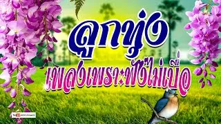 ลูกทุ่ง เพลงเพราะฟังไม่เบื่อ 
