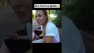 Доби пугает людей