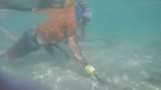 Garrett ATX Underwater Metal Detecting, Shallow Dive Test