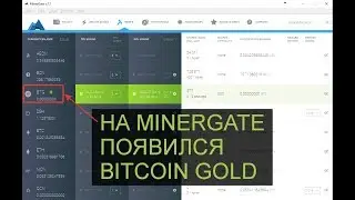 Minergate.com - майнинг Bitcoin Gold  GUI майнер и консольные майнеры для AMD и NVIDIA.