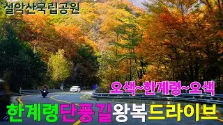 설악산한계령 단풍길드라이브 | 오색_한계령_오색 | 오색령 | 설악산단풍 | 가을단풍 | 양양여행 | 양양가볼만한곳 | Maple Road Drive