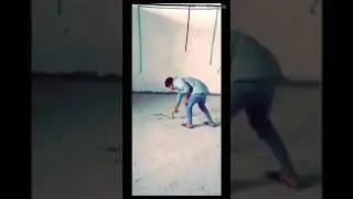 ٥ مارس، ٢٠١٩