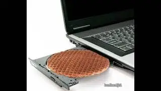 stroopwafel