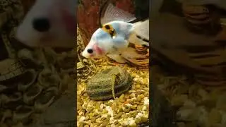 Что нового у нас!