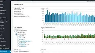 W3 Total Cache- Introducing Cache and Performance Statistics