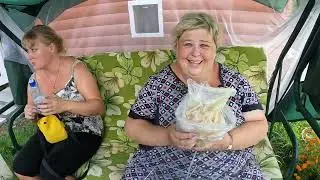 У нас гости жарим шашлыки. Убираем  урожай .