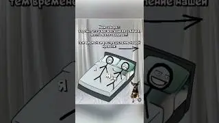 Собачки 🐶 маленькие собачки и Распределение кровати 