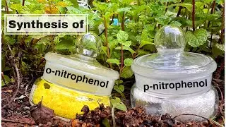Ortho and Paranitrophenol : Organic synthesis