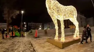 Встречаю новый 2024 год !