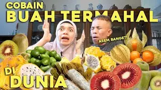 COBAIN BUAH TERMAHAL DI DUNIA..