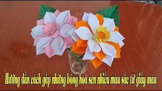 Hướng dẫn cách gấp những bông hoa sen nhiều màu sắc từ giấy màu thủ công - Ly Coc DIY