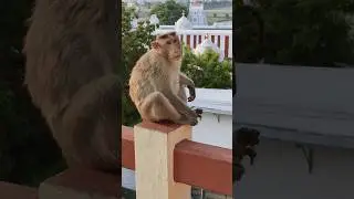 Kalahasti Vs Tirupati 