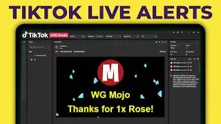 Complete TikFinity Setup - 2025 TikTok LIVE Alerts (Gifts, Follows, Subs, TTS and more)