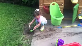 Sam Garden 3.MOV