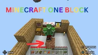 Zim Bros plays Minecraft One Block Episode 1