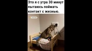 покатаем кв4ку потильтуем?)