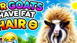 Our Goats have FAT hair 🤣 | what we feed our goats! | Cookie the tease & BABY GOAT ZOOMIES!