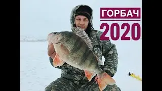 Вот это кабан! Трофейный окунь.Зимняя рыбалка 2020