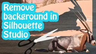 Remove a Photo Background in Silhouette Studio