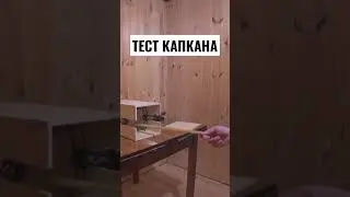 #тест