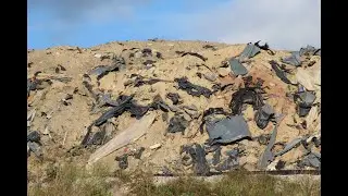 Now this land belongs to WM and Republic Services