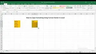 How to Copy Formatting Using Format Painter in excel